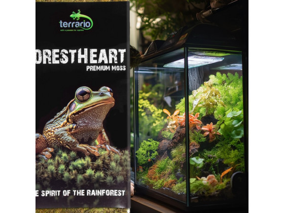 Натуральний мох торф’яний Terrario ForestHeart Sphagnum Moss 100г для тераріумів та орхідей