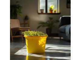 Натуральний мох торф’яний Terrario ForestHeart Sphagnum Moss 100г для тераріумів та орхідей