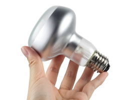 Лампа точкового нагріву Repti-Zoo Intense Basking Spot 50W з UVA для тераріумів