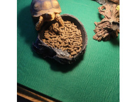 Коврик-субстрат Repti-Zoo Carpet Mat 30x30см