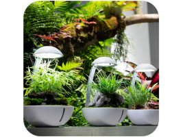 Минитерариум Chihiros Tiny Terrarium Egg с LED-подсветкой и управлением через приложение