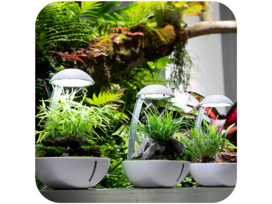 Минитерариум Chihiros Tiny Terrarium Egg с LED-подсветкой и управлением через приложение