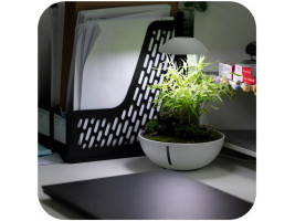 Минитерариум Chihiros Tiny Terrarium Egg с LED-подсветкой и управлением через приложение