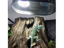Лампа LED Repti-Zoo Desert and Tropical UVB 5.0 UVB 10.0 5W для террариумов