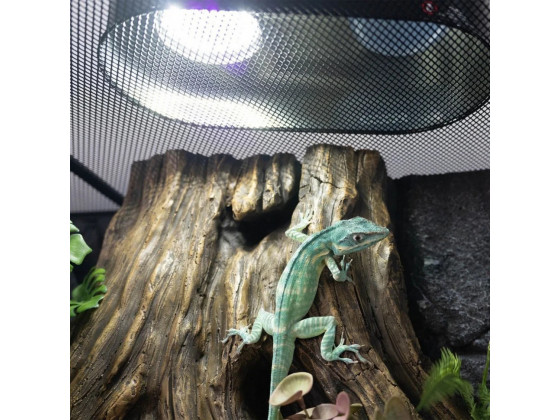 Лампа LED Repti-Zoo Desert and Tropical UVB 5.0 UVB 10.0 5W для террариумов