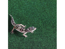 Коврик-субстрат Repti-Zoo Carpet Mat 30x30см