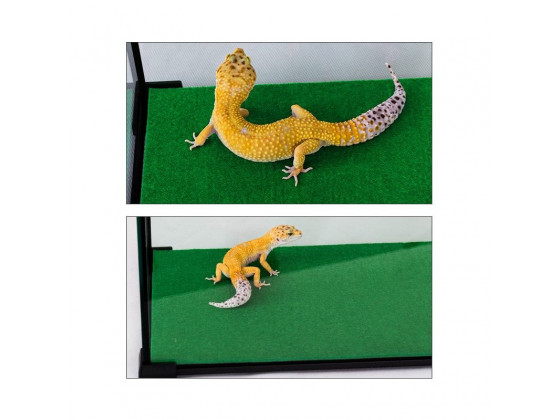 Коврик-субстрат Repti-Zoo Carpet Mat 30x30см