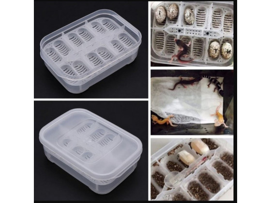 Инкубатор пластиковый на 12 яиц Terrario EggIncubator