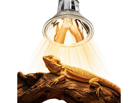 Галогенная лампа UVA Terrario Nadara Pro 50W E27 для террариума