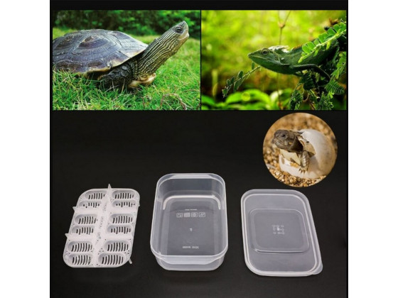 Инкубатор пластиковый на 12 яиц Terrario EggIncubator