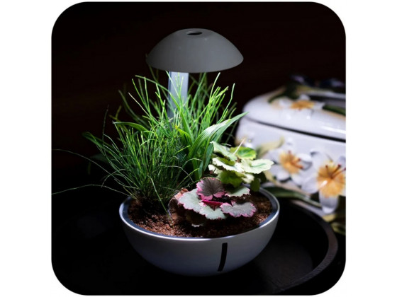 Минитерариум Chihiros Tiny Terrarium Egg с LED-подсветкой и управлением через приложение