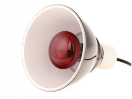 Інфрачервона нагрівальна лампа Repti-Zoo Infrared Heat 50W