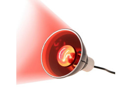 Інфрачервона нагрівальна лампа Repti-Zoo Infrared Heat 35W