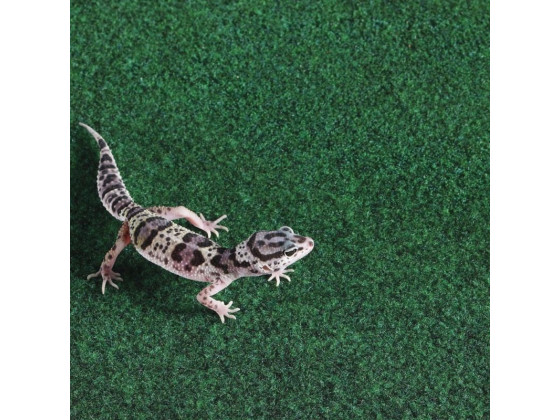 Коврик-субстрат Komodo Reptile Carpet 120x60см 