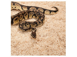 Субстрат из тополя 2.4л Repti-Zoo Aspen Snake Bedding