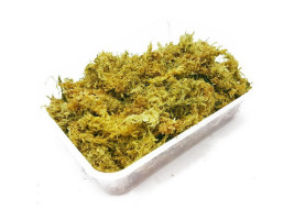 Сфагновий мох Repti-Zoo Sphagnum moss 100г 4.5л