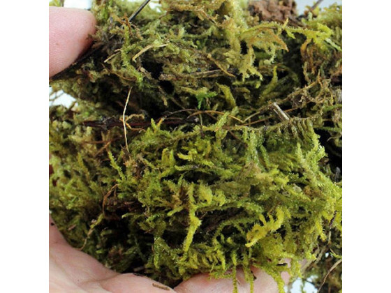 Сфагновий мох Repti-Zoo Sphagnum moss 100г 4.5л