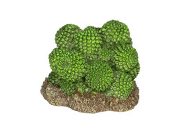 Декорация искусственный кактус Hobby Cactus Atacama 7x6x5см