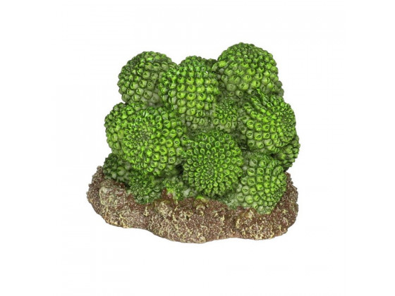 Декорація штучний кактус Hobby Cactus Atacama 7x6x5см 