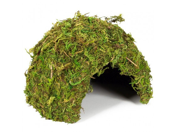 Схованка з моху Repti-Zoo Natural Mossy Dome M 14x10,5 