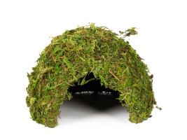 Схованка з моху Repti-Zoo Natural Mossy Dome M 14x10,5 