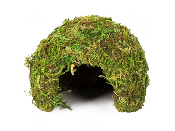 Укрытие из мха Repti-Zoo Natural Mossy Dome S 11x10см