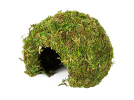 Укрытие из мха Repti-Zoo Natural Mossy Dome S 11x10см