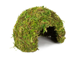 Укрытие из мха Repti-Zoo Natural Mossy Dome S 11x10см