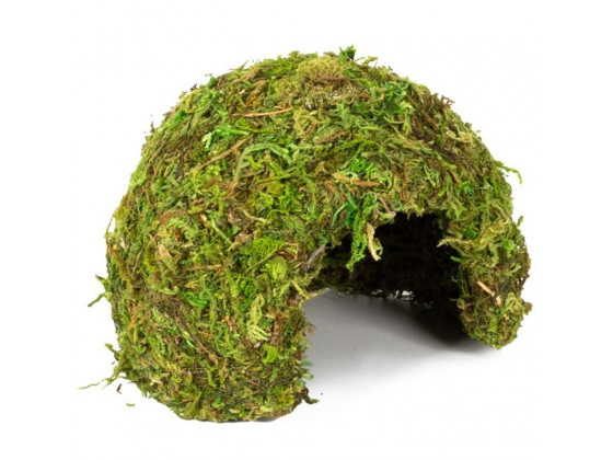 Укрытие из мха Repti-Zoo Natural Mossy Dome S 11x10см