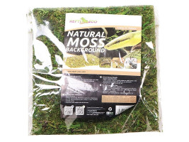 Фон моховый Repti-Zoo Natural Moss Back&Bottom 20x20см 2шт.