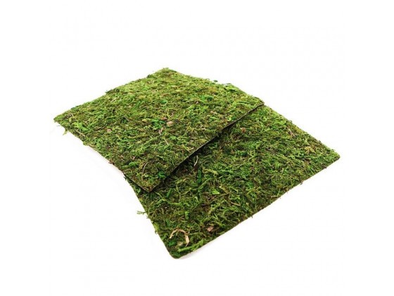 Фон моховый Repti-Zoo Natural Moss Back&Bottom 20x20см 2шт.