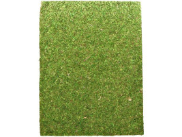 Фон моховый Repti-Zoo Natural Moss Back&Bottom 20x30см 2шт.