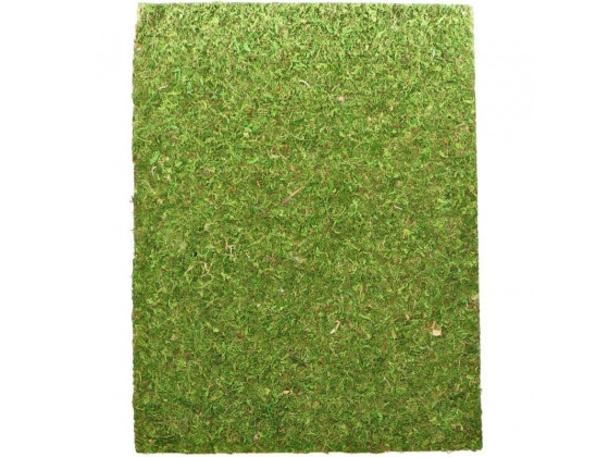 Фон моховий Repti-Zoo Natural Moss Back & Bottom 20x30см 2шт. 