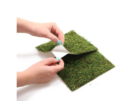 Фон моховый Repti-Zoo Natural Moss Back&Bottom 45x45см 2шт.