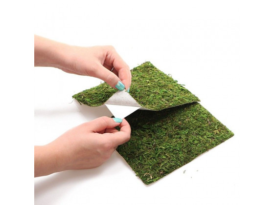 Фон моховый Repti-Zoo Natural Moss Back&Bottom 45x45см 2шт.