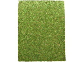 Фон моховий Repti-Zoo Natural Moss Back & Bottom 50x25см 2шт. 