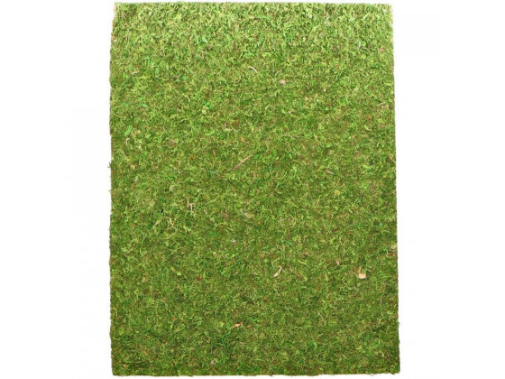 Фон моховый Repti-Zoo Natural Moss Back&Bottom 50x25см 2шт.