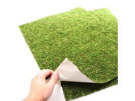 Фон моховый Repti-Zoo Natural Moss Back&Bottom 50x25см 2шт.