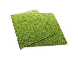 Фон моховый Repti-Zoo Natural Moss Back&Bottom 50x25см 2шт.