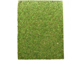 Фон моховый Repti-Zoo Natural Moss Back&Bottom 60x45см 2шт.