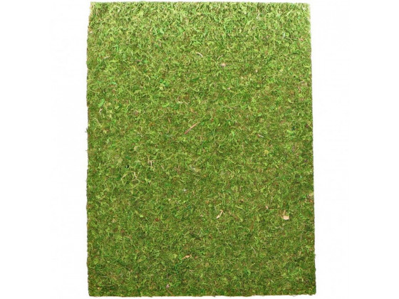 Фон моховий Repti-Zoo Natural Moss Back & Bottom 60x45см 2шт. 