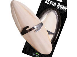 Сепия для черепах, природный известняк для рептилий Terrario Sepia Bone 10-15см