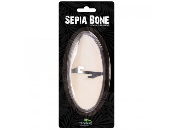 Сепия для черепах, природный известняк для рептилий Terrario Sepia Bone 10-15см