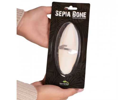 Сепия для черепах, природный известняк для рептилий Terrario Sepia Bone 10-15см