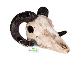 Декорация череп барана Terrario Ram Skull 19x16x11см