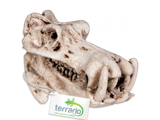 Декорация череп бегемота Terrario Hippo Skull 5x3x3см