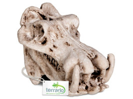 Декорация череп бегемота Terrario Hippo Skull 5x3x3см