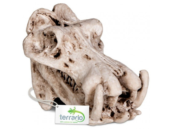 Декорация череп бегемота Terrario Hippo Skull 5x3x3см