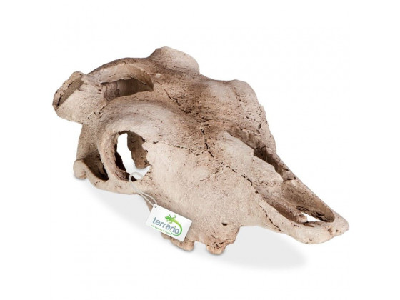 Декорация череп буйвола Terrario Buffalo Skull 21x12x8см