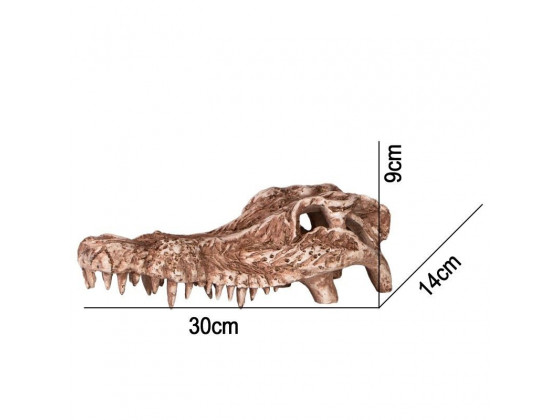 Декорация череп крокодила Terrario Crocodile Skull 30x14x9см